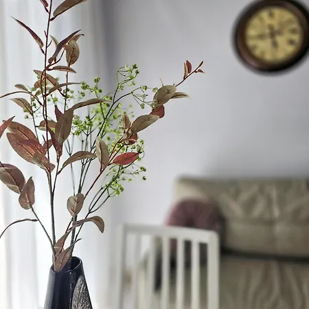 Vejo Gusis Cikipuki Appartement Palanga